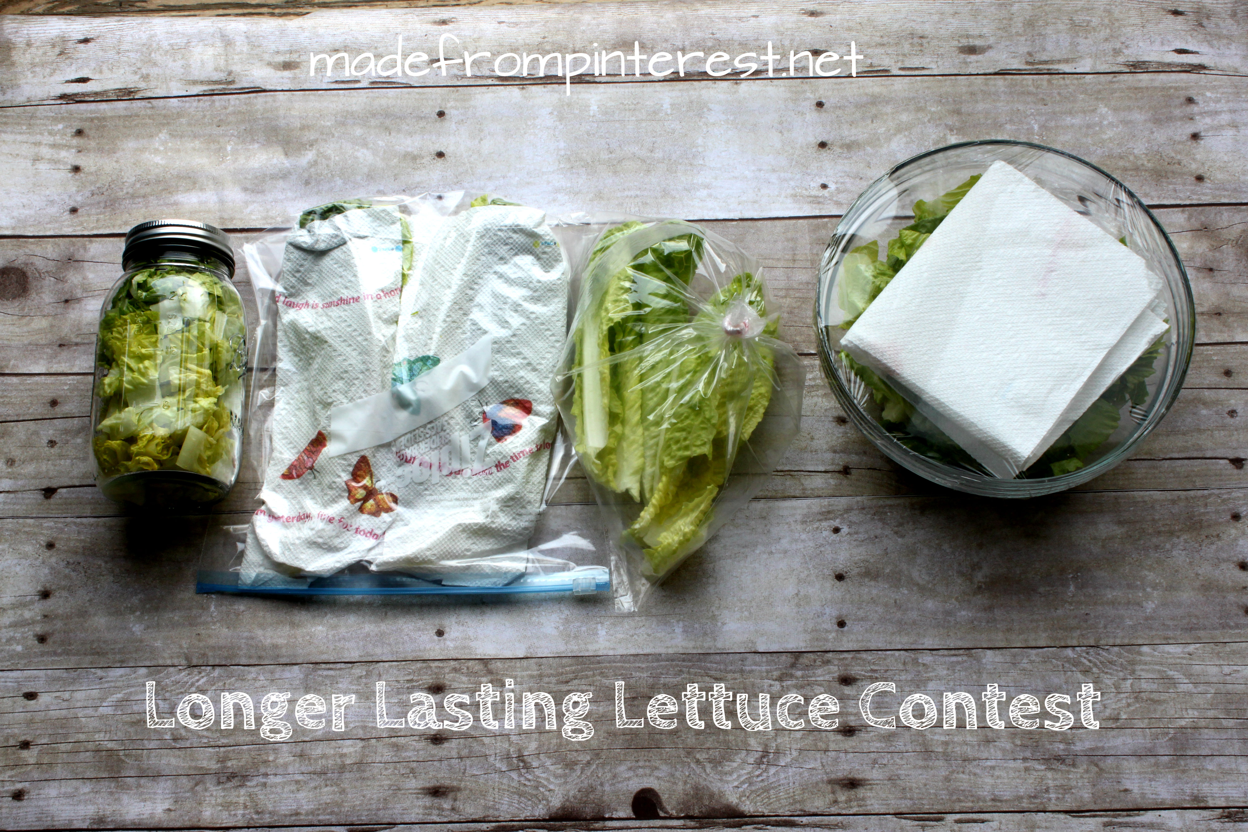 Longer Lasting Lettuce Contest by madefrompinterest.net
