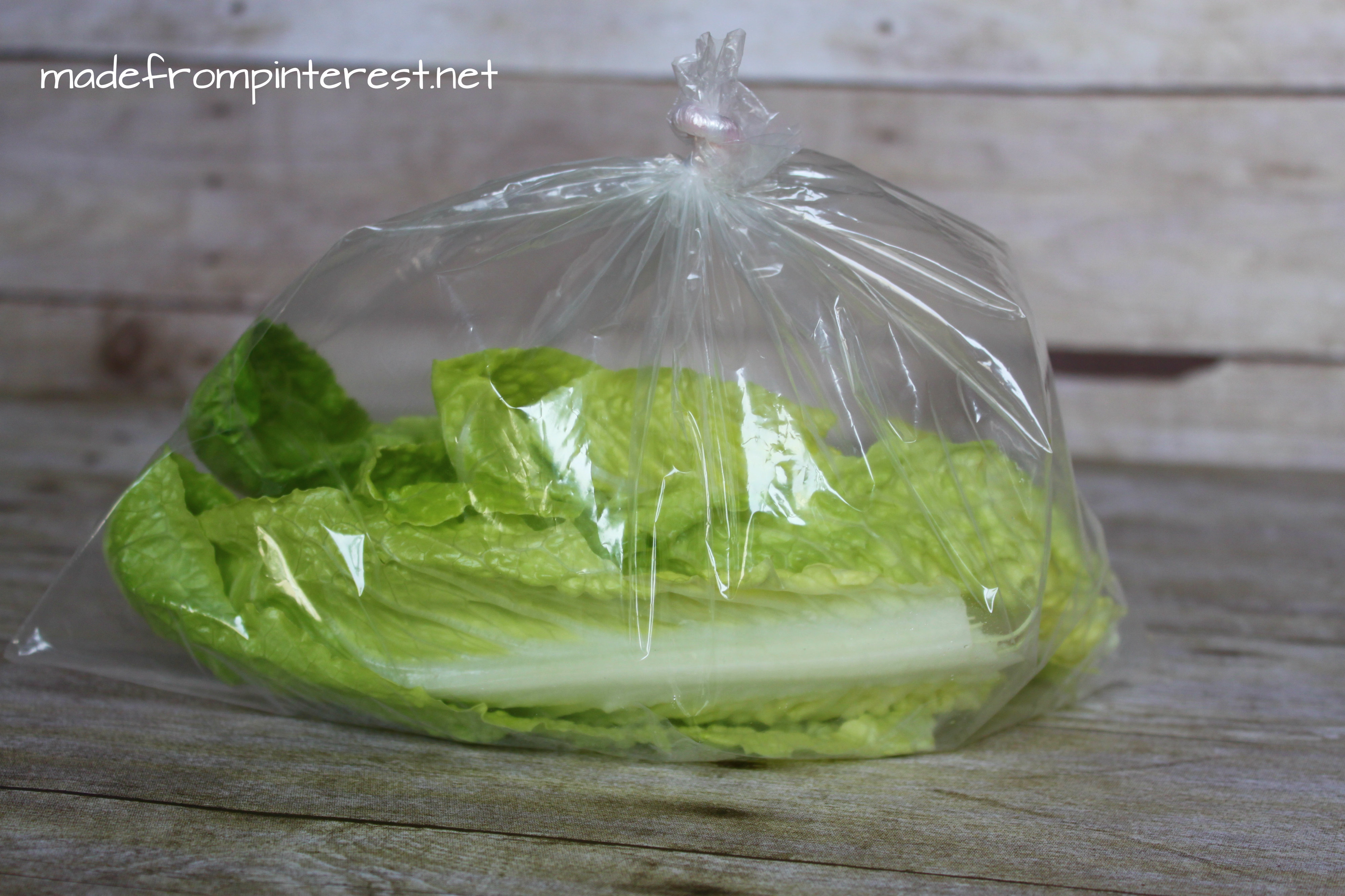 Madefrompinterest.net lettuce storage contest. Blowing air in a bag was a runner up