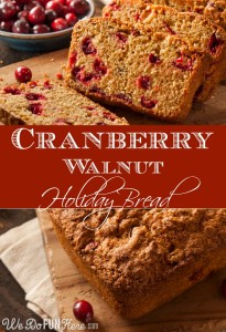 Cranberry-Walnut-Holiday-Bread-at-We-Do-FUN-Here -FAV