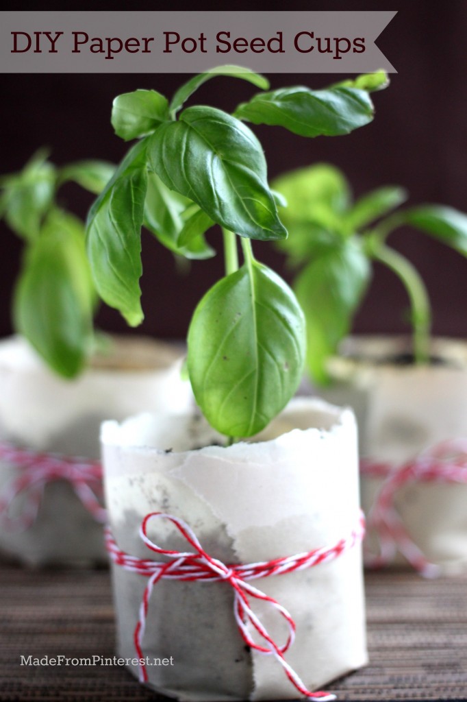 DIY Paper Pot Seed Cups - Can be planted right into the garden, paper and all! Easy indoor seed starting.