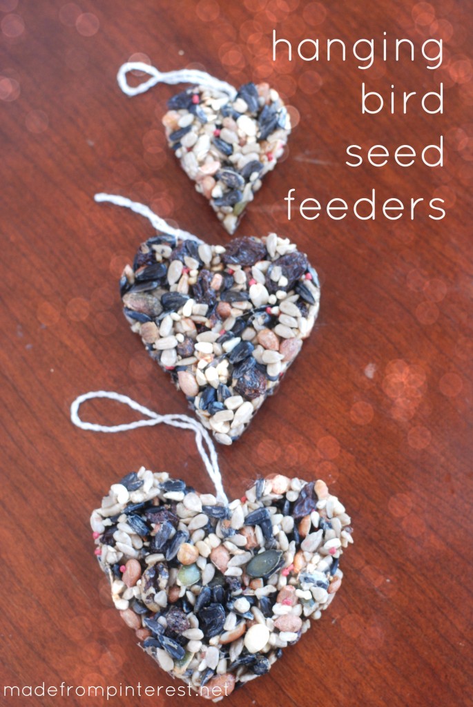 February is National Bird Feeding Month. Make these easy DIY Hanging Bird Seed Feeders!