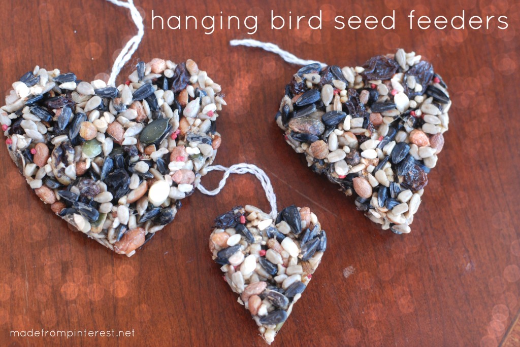 It's National Feed a Bird month! Easy to make DIY Hanging Bird Seed Feeders that you can make with your kids!