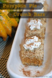 Perfect-fall-dessert-Pumpkin-Pie-Crumb-Bars.-madefrompintereest.net_-685x1024