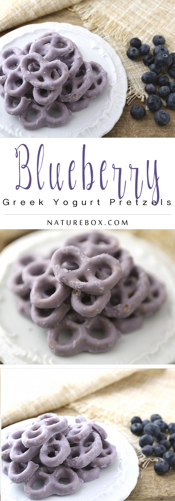 Everly-Blueberry-Greek-Yogurt
